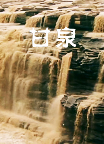 精品视频在线免费